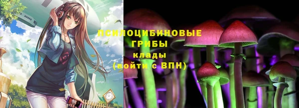 СК Волоколамск