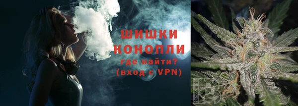 СК Волоколамск