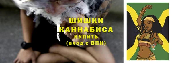 СК Волоколамск