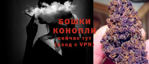 СК Волоколамск