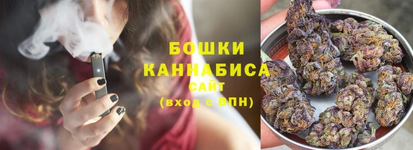 СК Волоколамск