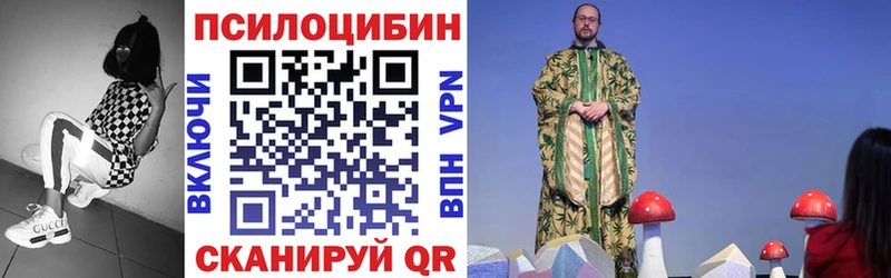 хочу   Вытегра  Псилоцибиновые грибы прущие грибы 